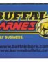 Buffalo Bore Barnes Lead-Free .35 Whelen 225-Grain Centerfire Rifle Ammunition