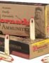 Hornady LEVERevolution® FTX® .450 Bushmaster 250-Grain Rifle Ammunition