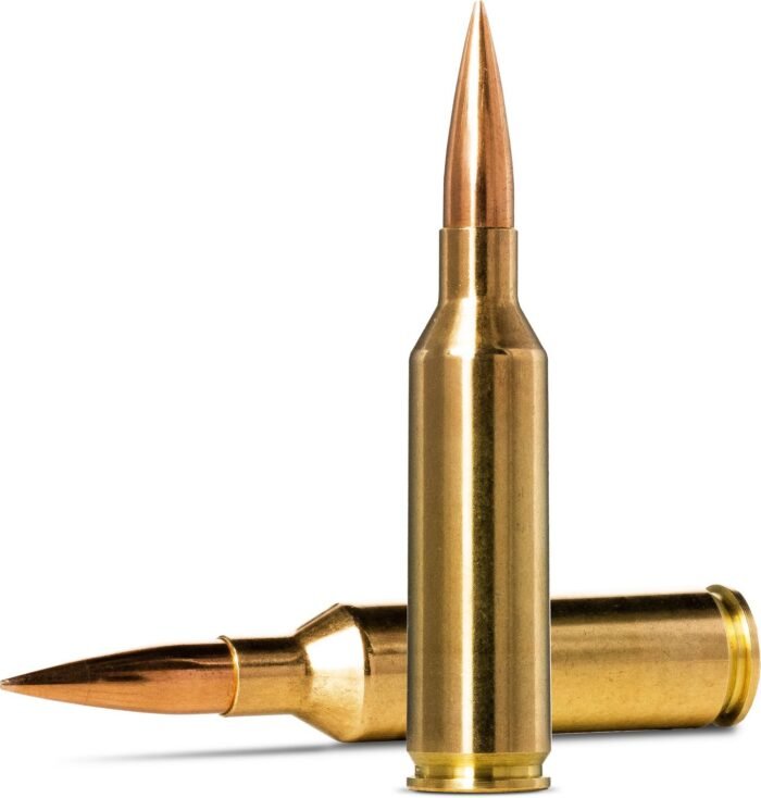 Norma USA Golden Target 6.5 PRC 143-Grain Match Ammunition - 20 Rounds