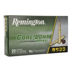 Remington 308 Win 180 gr Core-Lokt Tipped 20 rd Ammunition