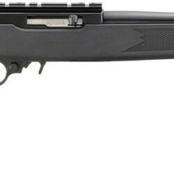 Ruger 10/22 Carbine 22LR Semi-Auto Rifle