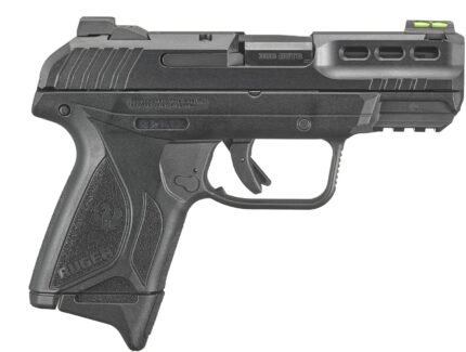 Ruger Security-380 .380 Auto Pistol