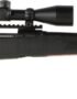 Savage Arms 10/110 Apex Hunter XP 308 WIN 20 in Centerfire Rifle