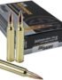 SIG SAUER Elite Performance Match Grade .300 Winchester Magnum 190-Grain Centerfire Rifle Ammunition