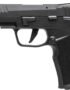 SIG SAUER P322 .22 LR SAO Action Pistol