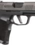 SIG SAUER P365X Optic Ready 9mm Semiautomatic Pistol