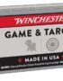 Winchester Super-X Lead Round-Nose .22 Long Rifle 40-Grain Rifle/Handgun Ammunition - 100 Rounds