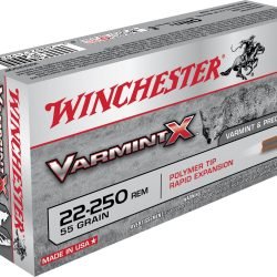 Winchester Varmint X .22-250 Remington 55-Grain Centerfire Rifle Ammunition - 20 Rounds